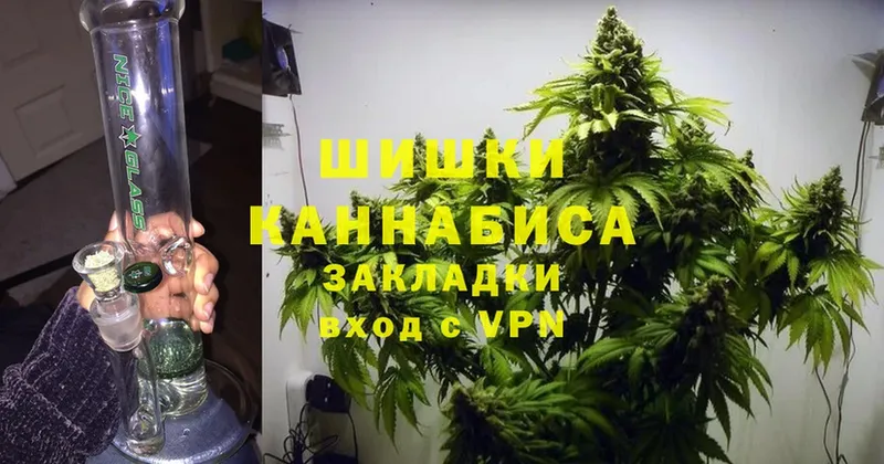 закладка  Малая Вишера  Бошки Шишки SATIVA & INDICA 